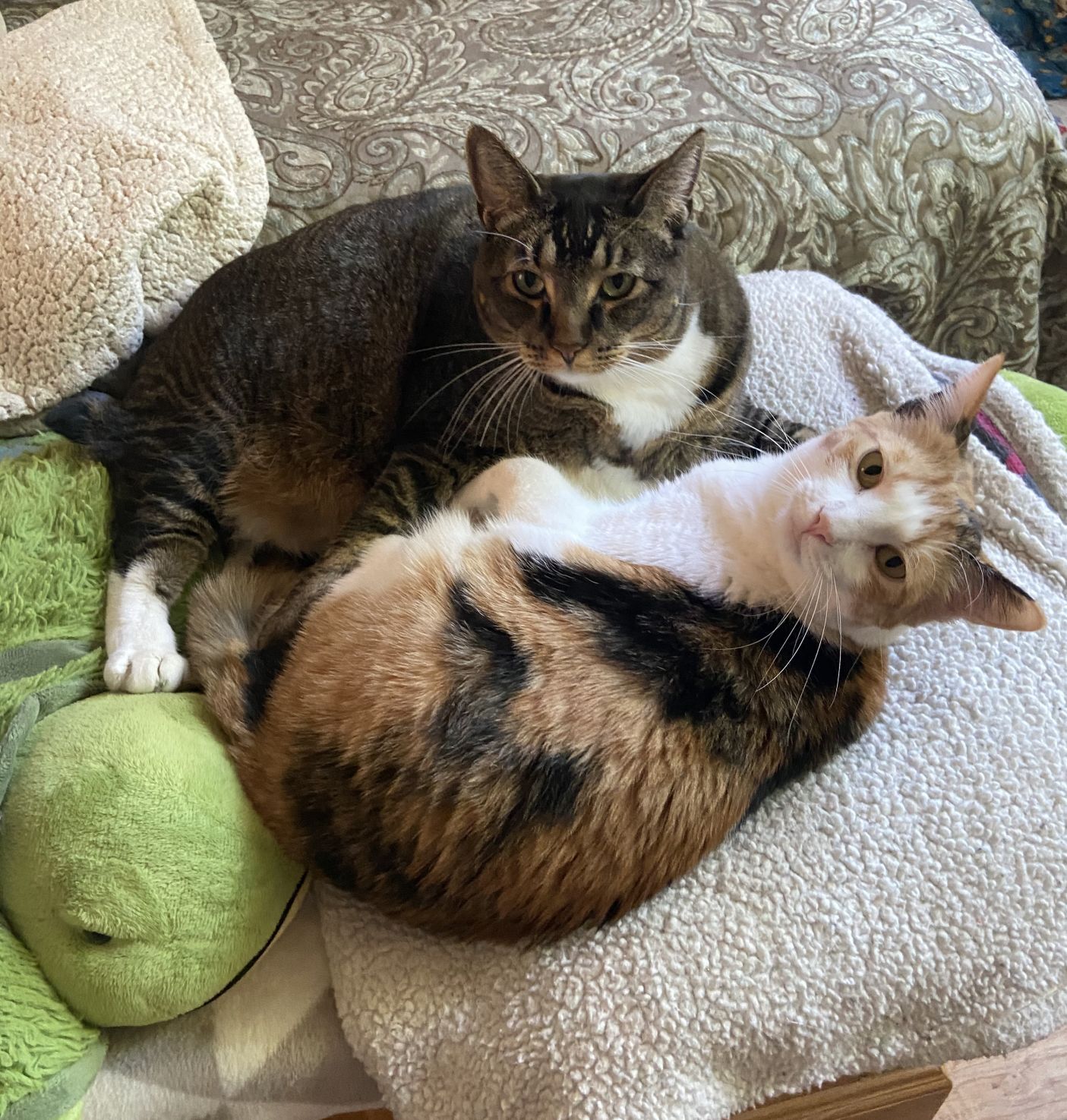 Duchess & Bailey